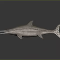 Ichthyosaur Marine Reptile With Long Snout Spotted Body And Streamlined Shape