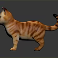 Orange And White Tabby Cat Standing With Black Tipped Tail On Dark Background And Reflection