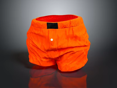 Casual Orange Shorts With Red Lining Front Black Label And White Button 3d model