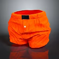 Casual Orange Shorts With Red Lining Front Black Label And White Button