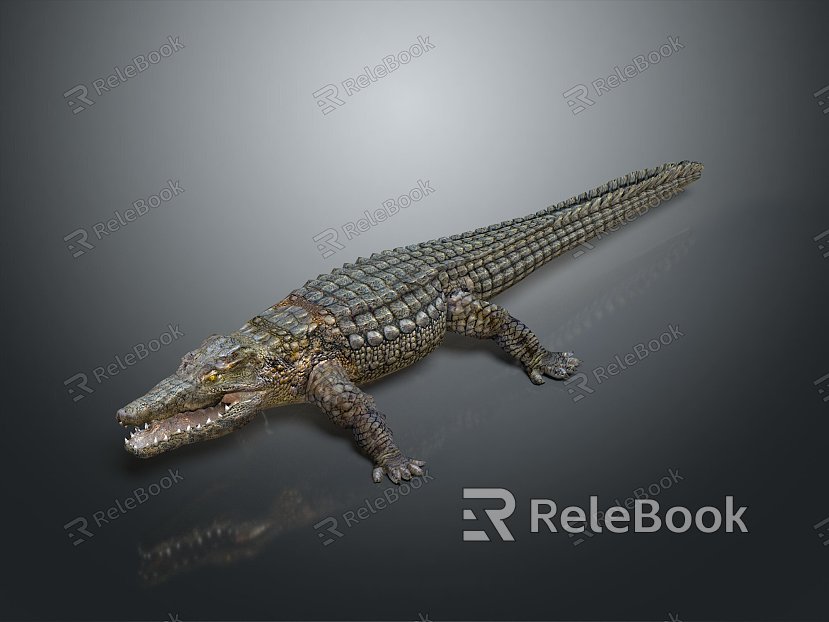 Crocodile Alligator Nile Crocodile carnivore reptile cold-blooded animal reptile reptile model