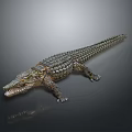 Crocodile Alligator Nile Crocodile carnivore reptile cold-blooded animal reptile 3d model