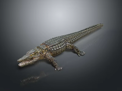 Realistic Crocodile Reptile 3D Model With Scaly Skin Open Mouth And Detailed Texture 3d model