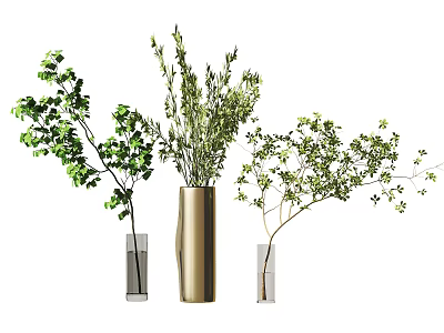 Green Plant Arrangements in Gold and Glass Vases for Home Decor 3d model