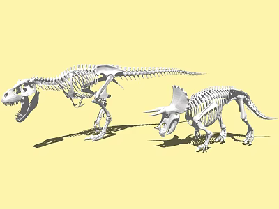 Prehistoric Reptile Fossil Skeletons Featuring Tyrannosaurus Rex and Triceratops in 3d model