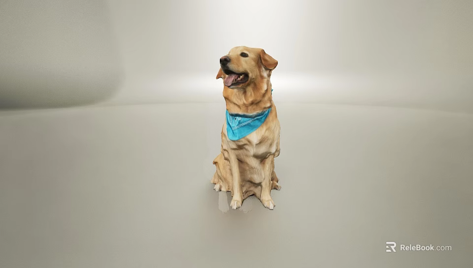 Cute Yellow Labrador Dog Wearing Blue Bandana Sitting On Light Background Looking Happy 3d model 