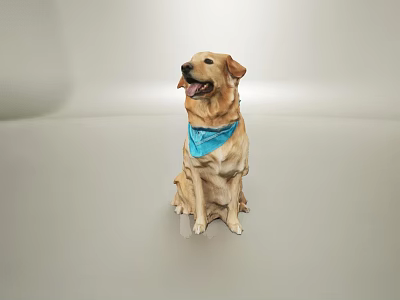 Cute Yellow Labrador Dog Wearing Blue Bandana Sitting On Light Background Looking Happy 3d model