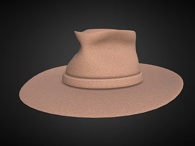 Stylish Brown Wide Brim Hat With Classic Band And Elegant Design 3d model