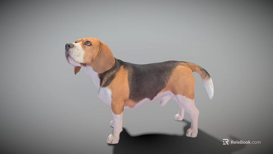 Game Movie Character Beagle Dog 3D Model Standing Pose Brown Black White Fur 3d model 
