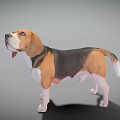 Game Movie Character Beagle Dog 3D Model Standing Pose Brown Black White Fur