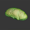 Fresh Golden Salted Crusty Bread With Crispy Exterior And Soft Interior