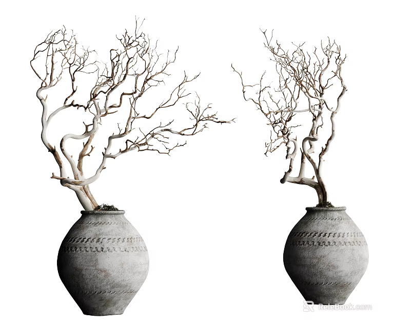 Natural Bonsai Plants With Bare Branches In Textured Clay Pots 3d model 