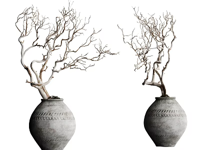 Natural Bonsai Plants With Bare Branches In Textured Clay Pots 3d model