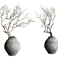 Natural Bonsai Plants With Bare Branches In Textured Clay Pots