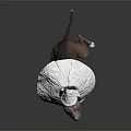 Playful Dog With White Cone Headgear And Body Wrap On Dark Background