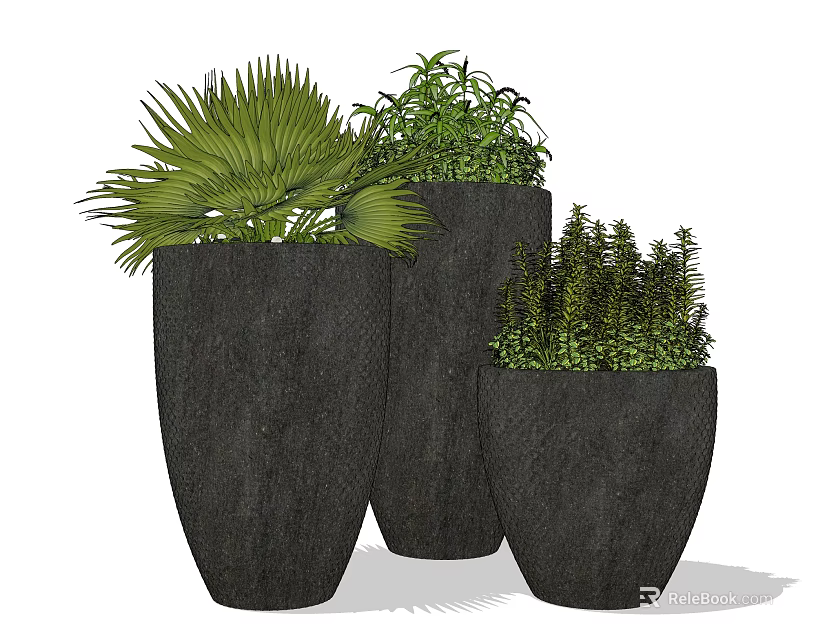 Three Black Potted Plants With Various Green Foliage In Textured Pots 3d model 