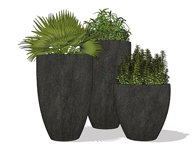 Three Black Potted Plants With Various Green Foliage In Textured Pots 3d model