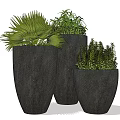 Three Black Potted Plants With Various Green Foliage In Textured Pots
