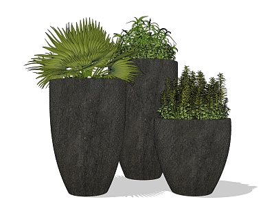 Modern Potted Plant 3d model