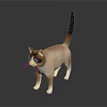 3D Rendered Cat Model With Brown White Fur Blue Eyes Black Tail On Dark Background
