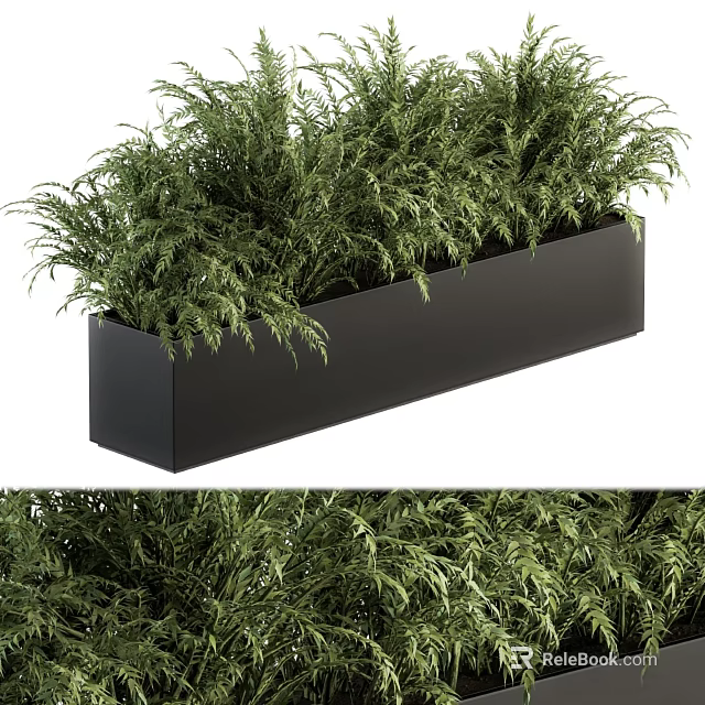 Decorative Ornament Set With Black Rectangular Planter And Green Fern Plants 3d model