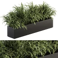 Decorative Ornament Set With Black Rectangular Planter And Green Fern Plants 3d model