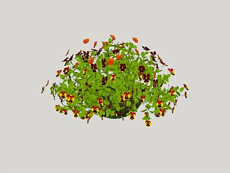 Modern vine green plant hanging plant 3d model