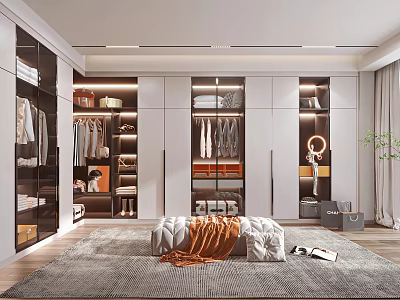 Modern Walk in Closet Interior Design With Glass Door Cabinets Hanging Clothes Storage Shelves And Bench 3d model
