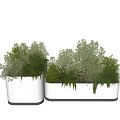 Stylish White Flower Planters With Lush Green Plants For Outdoor Garden Decoration