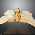 Mythical Bird Flower Hybrid Creature With Pink Petal Wings And Yellow Center