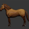 Brown Standing Horse With Brown Mane Tail And White Facial Mark On Dark Background