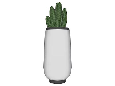 Garden Landscape With Decorative Cactus Plant In White Ceramic Pot 3d model