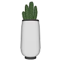 Garden Landscape With Decorative Cactus Plant In White Ceramic Pot