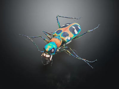 Close up view of colorful metallic beetle with iridescent exoskeleton on dark background 3d model