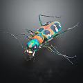 Close up view of colorful metallic beetle with iridescent exoskeleton on dark background