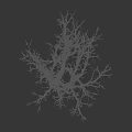 Leafless Tree with Twisted Branches and White Greenish Trunk on Dark Background 3d model
