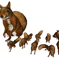 Adorable Large Squirrel with Group of Small Baby Squirrels on Blue Background