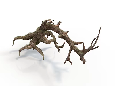 Intricate Tree Root System with Twisted Branches and Natural Texture 3d model