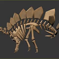 Stegosaurus Skeletal Organ Model With Dorsal Plates And Tail Spikes Structure