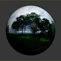 Modern Forest Sky Box Forest Background Game Environment 3d model