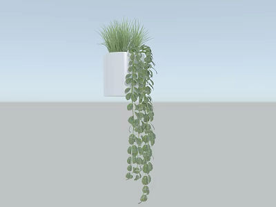 Hanging Potted Plant With Grassy Top Trailing Vines And Round Leaves In White Pot 3d model