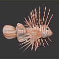 Lionfish With Orange And White Stripes Long Spiky Fins And Green Eyes