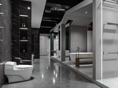 Modern Bathroom Interior With Dark Marble Walls Toilet Bathtub Shower Area And Shelves 3d model