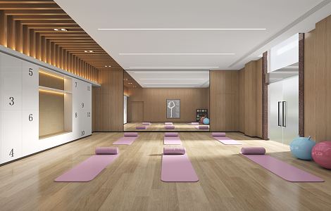 Modern Yoga Room 3d model