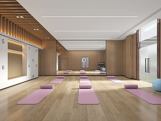 Modern Yoga Room 3d model