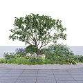 Flower Bed and Planter with Large Tree Colorful Flowers Decorative Stones and Paved Ground