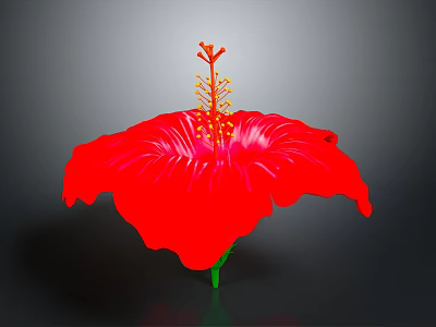 Red Hibiscus Flower With Large Petals Green Stem And Yellow Stamens 3d model