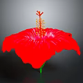 Red Hibiscus Flower With Large Petals Green Stem And Yellow Stamens