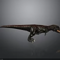 Tyrannosaurus Rex Dinosaur Model With Detailed Skin Texture And Red Brown Color On Gray Background