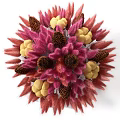 Potted Bonsai Plant With Pink Red Feathery Foliage Pine Cones Yellow Fruits In Beige Container